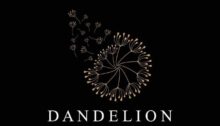 dendelion